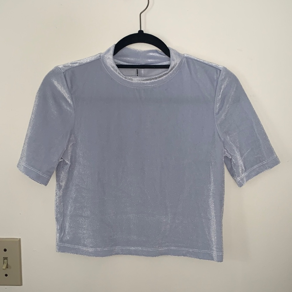 American Apparel Mock-Neck Velvet Crop Top